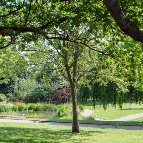 grosvenor-park green space chester
