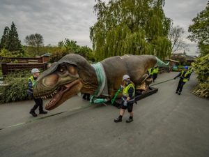 Thirteen enormous animatronic predators have arrived at Chester Zoo, ahead of the opening of a world first exhibition.