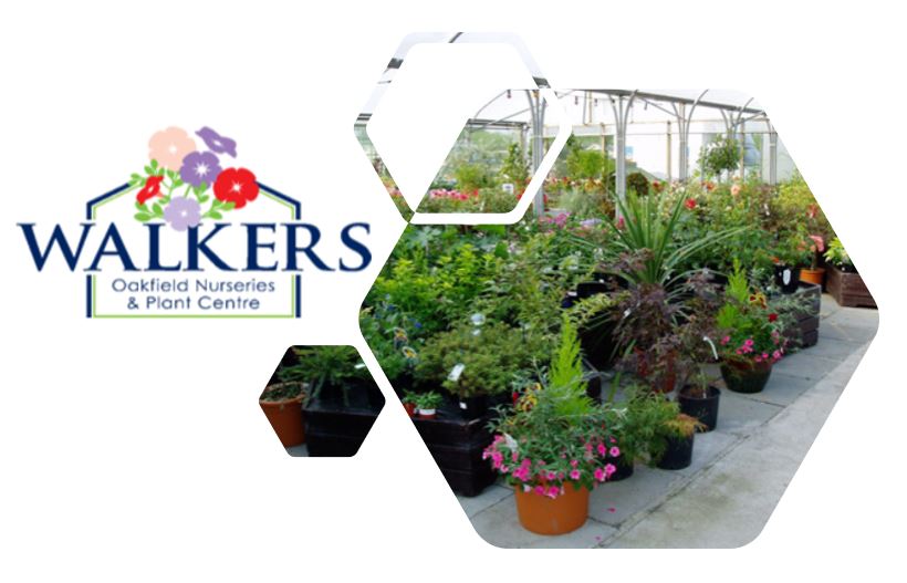 Walkers Oakfield Nurseries Online Shop Now Open Experience Chester