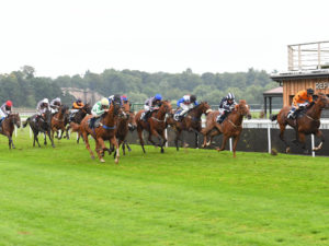 Brave horses and a plum draw contribute to success at Chester Racecourse