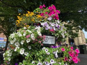 Chester In Bloom as alfresco Chester booms