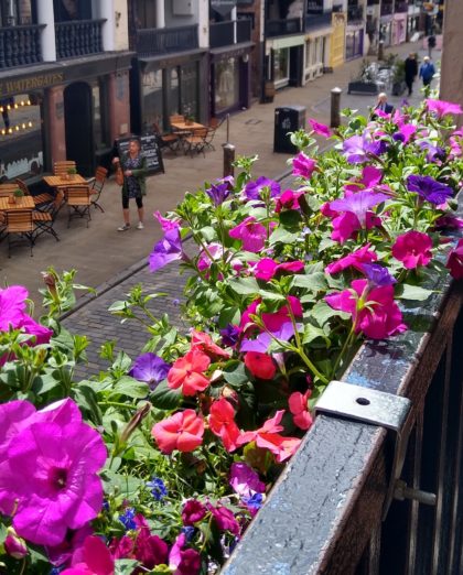 Chester In Bloom – Chester BID fills city streets with blooming displays