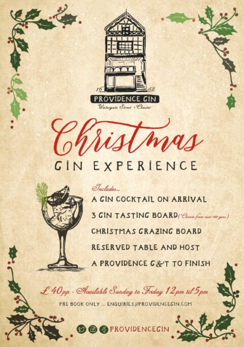 Providence Gin Christmas Gin Experience