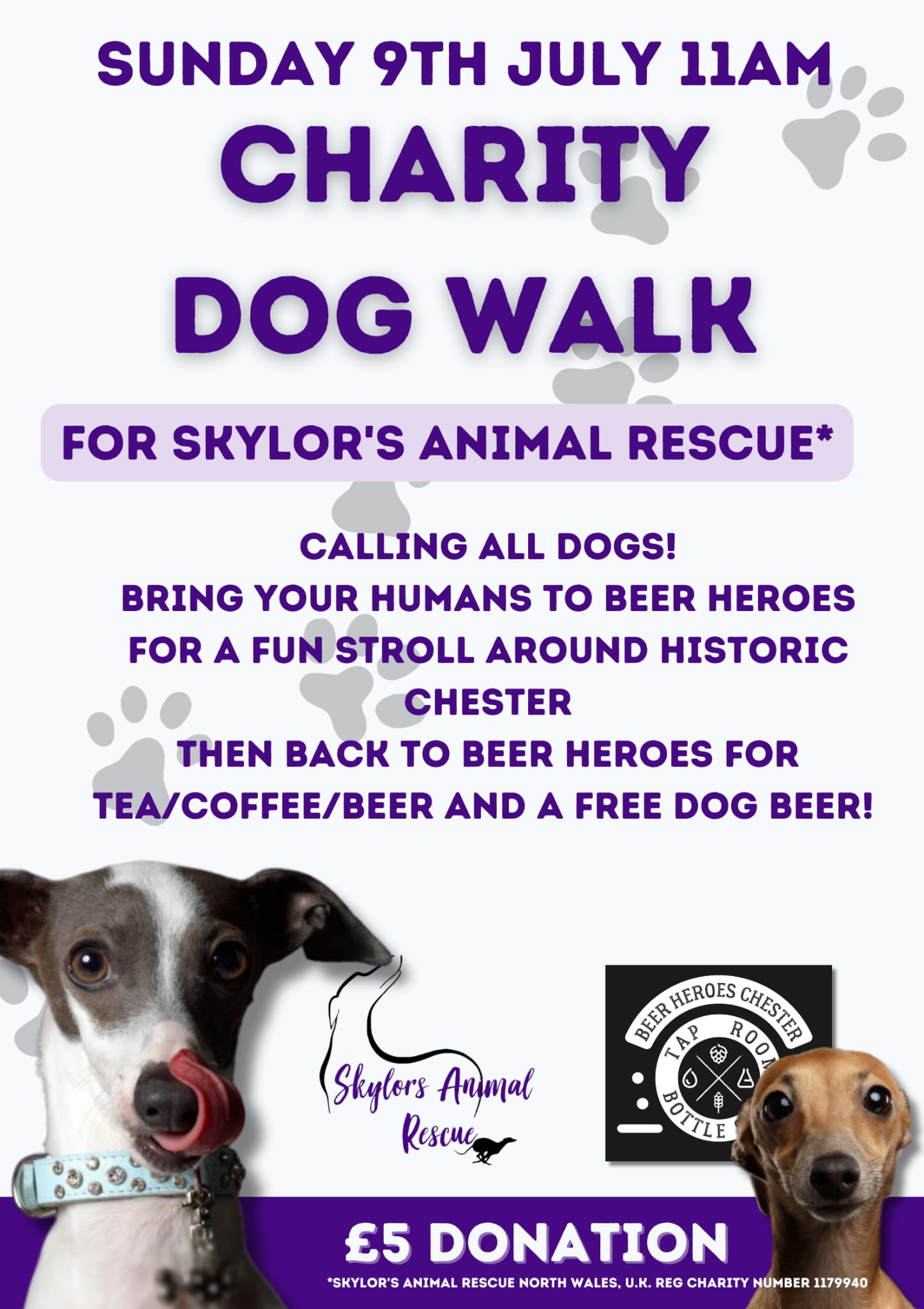 Charity Dog Walk Chester