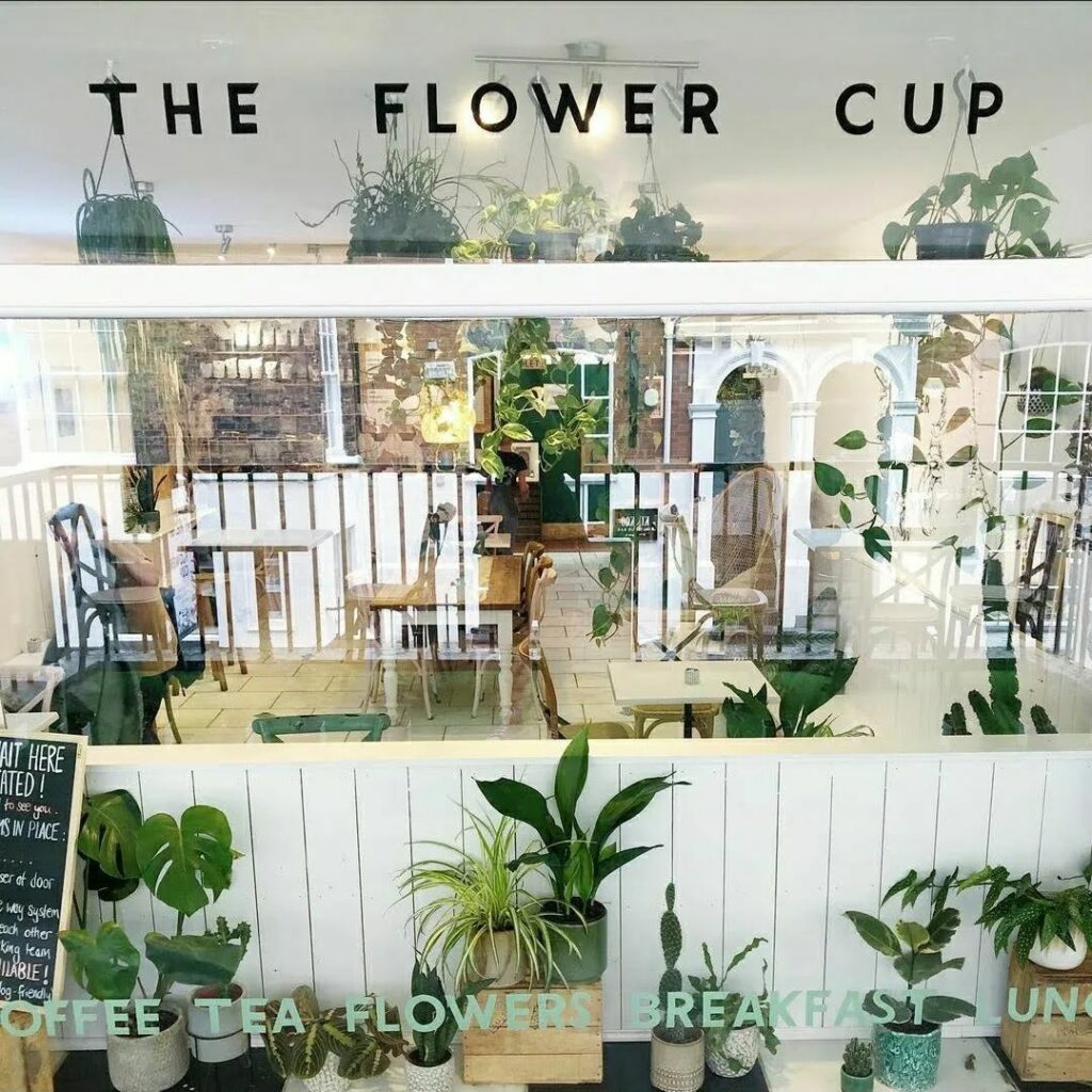 flower cup chester alfresco