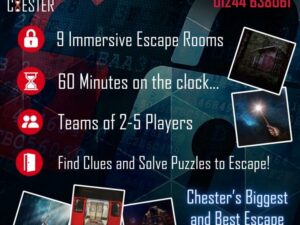 CAN YOU ESCAPE BREAKOUT CHESTER?